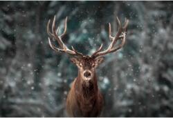 Tablou Canvas Mighty Deer In Winter, 80x50cm, tabloucanvas892 (tabloucanvas892/50x80cm)