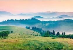 Tablou Canvas Green Meadows, 80x50cm, tabloucanvas282 (tabloucanvas282/50x80cm)
