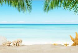 Tablou Canvas Seashells, Corals And Starfish On The Beach, 80x50cm, tabloucanvas1015 (tabloucanvas1015/50x80cm)