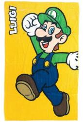 NINTENDO Prosop Nintendo Super Mario Bros Luigi, 50x80cm (8029085008598)