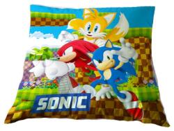 Sega Perna Sonic The Hedgehog, 35x35cm (8436580116497)