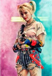  Tablou Canvas Harley Quinn Birds Of Prey, 80x50cm (tablou317/50x80cm)