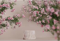  Tablou Canvas Podium Display On Pink Background With Blossom Rose Flower, 80x50cm, tabloucanvas635 (tabloucanvas635/50x80cm)