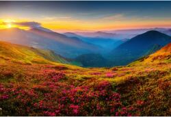 Tablou Canvas Loads Of Pink Wild Flowers on Carpathian Slopes, 80x50cm, tabloucanvas618 (tabloucanvas618/50x80cm)