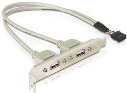 Delock DL71000 Slot konzol 1x belső USB 9 tűs -> 2x USB2.0 külső (DL71000) (DL71000)