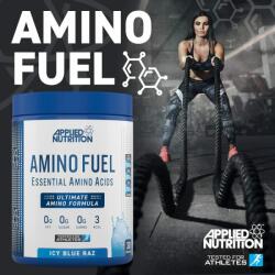 Applied Nutrition Amino Fuel 390g