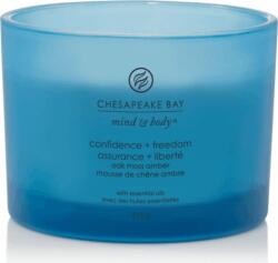 Chesapeake Bay Confidence & Freedom 312 g