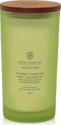 Chesapeake Bay Awaken & Invigorate 355 g