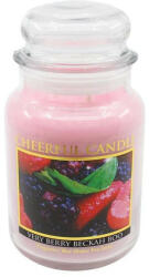 Cheerful Candle Cheerful Very Berry Beckah Boo 680 g