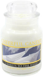 Cheerful Candle 3 Sheets To The Wind 160 g