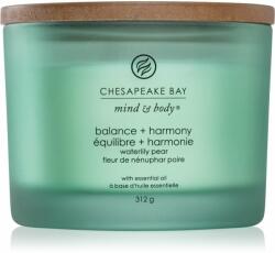 Chesapeake Bay Mind & Body Balance & Harmony illatgyertya 312 g