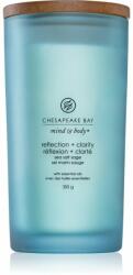 Chesapeake Bay Mind & Body Reflection & Clarity 355 g
