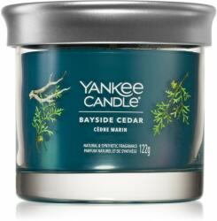 Yankee Candle Bayside Cedar 122 g