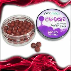 Promix Goost Power Wafter horogcsali squid 8mm (PGPS8)