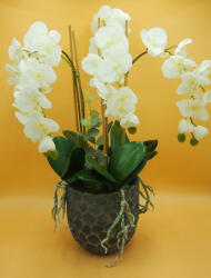  Cserepes gumi orchidea 5