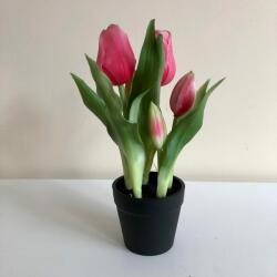 Kreatív Cserepes tulipán pink élethű