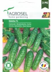 Agrosel Seminte Castraveţi Odette F1 Agrosel 20 sem (HCTA00965)