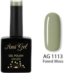 Ami Gel Oja Semipermanenta - Multi Gel Color - The One Forest Moss AG1113 14ml - Ami Gel