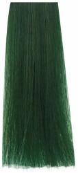 Be Hair Vopsea de Par Permanenta Fara Amoniac Tip Corector Verde - Be Color 12 Minute Green Tone Modulators - Be Hair