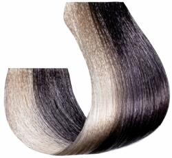 Be Hair Vopsea de Par Permanenta Fara Amoniac Tip Toner Purple - Be Color 12 Minute Tone Long Lasting - Be Hair