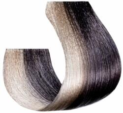 Be Hair Vopsea de Par Permanenta Fara Amoniac Tip Toner Magnesium - Be Color 12 Minute Tone Long Lasting - Be Hair
