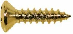 Boston TS-01-G screw, 3x12mm, 12pcs, oval countersunk, tapping, for pickguard, gold