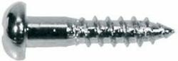 Boston WS-02-C screw, 2, 1x10mm, 12pcs, dome head, chrome