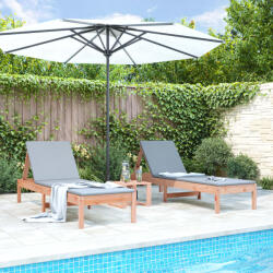 vidaXL 2 db tömör duglászfenyő napozóágy 199, 5x60x74 cm (825076) - vidaxl