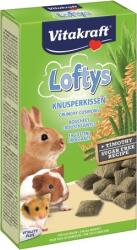 Vitakraft Lofty's pentru rozătoare (5 boxă | 5 x 100 g) 500 g