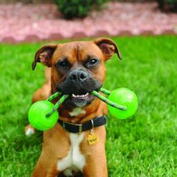 KONG Squeezz Ball jucărie pentru câini cu sfoară (L; 6.3 x 31.7 cm)