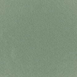Mocheta Expo culoare Almond Green - Pantone 16-0110TPG 100 Mp (MG-16-0110TPG)