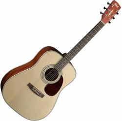 Cort Earth70 NT