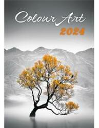 KALENDART 2024-es T092 Colour Art falinaptár (24T9200-12A) (24T9200-12A)