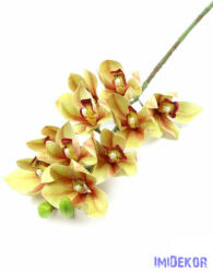  Cymbidium orchidea 10 fejes 75cm - Krém