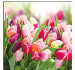 Ambiente AMB. 12512730 Glorious Tulips papírszalvéta 25x25cm, 20db-os (8712159151657)