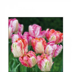 Ambiente AMB. 12517755 Parrot Tulips papírszalvéta 25x25cm, 20db-os (8712159187496)