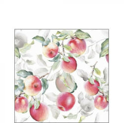 Ambiente AMB. 12515631 Fresh Apples White papírszalvéta 25x25cm, 20db-os (8712159171o75)