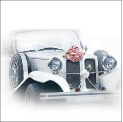 Ambiente AMB. 13312990 Wedding Car papírszalvéta 33x33cm, 20db-os (8712159152517)