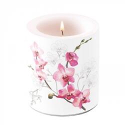 Ambiente Orchid 10x10 cm