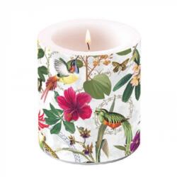 Ambiente Tropical Jungle 10x10 cm