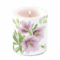 Ambiente Classic helleborus 10x10 cm
