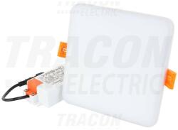 TRACON LED-DLNIP-6NW