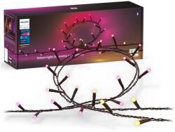 Philips Philips-LED RGBW Dimmelhető kültéri lánc HUE WACA 500xLED 44, 4 m IP54 P5924 (P5924)