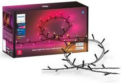 Philips Philips-LED RGBW Dimmelhető kültéri lánc HUE WACA 250xLED 24, 4 m IP54 8720169246621 (P5923)