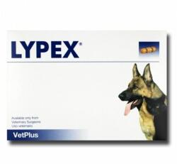 VetPlus Ltd Lypex hasnyálmirigy támogató kapszula kutyáknak 60db