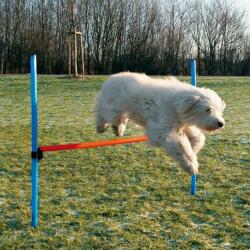 TRIXIE Dog Activity Agility akadály játék kutyáknak 123*115cm (028-3207)