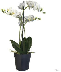 Bloomi Selyemvirág Orchidea 3 ágú cserepes műanyag 67cm fehér (CM359661)
