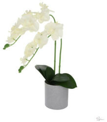 Bloomi Selyemvirág orchidea műanyag kaspóban műanyag 51cm fehér @ (DD61170)