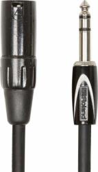 Roland RCC-10-TRXM Cablu de interconectare 10ft / 3m Cablu de interconectare 6.3mm TRS jack-XLR (PAPA) (RCC-10-TRXM)
