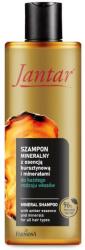 Farmona Natural Cosmetics Laboratory Șampon cu esență de chihlimbar și minerale pentru toate tipurile de păr - Farmona Jantar Mineral Shampoo 300 ml
